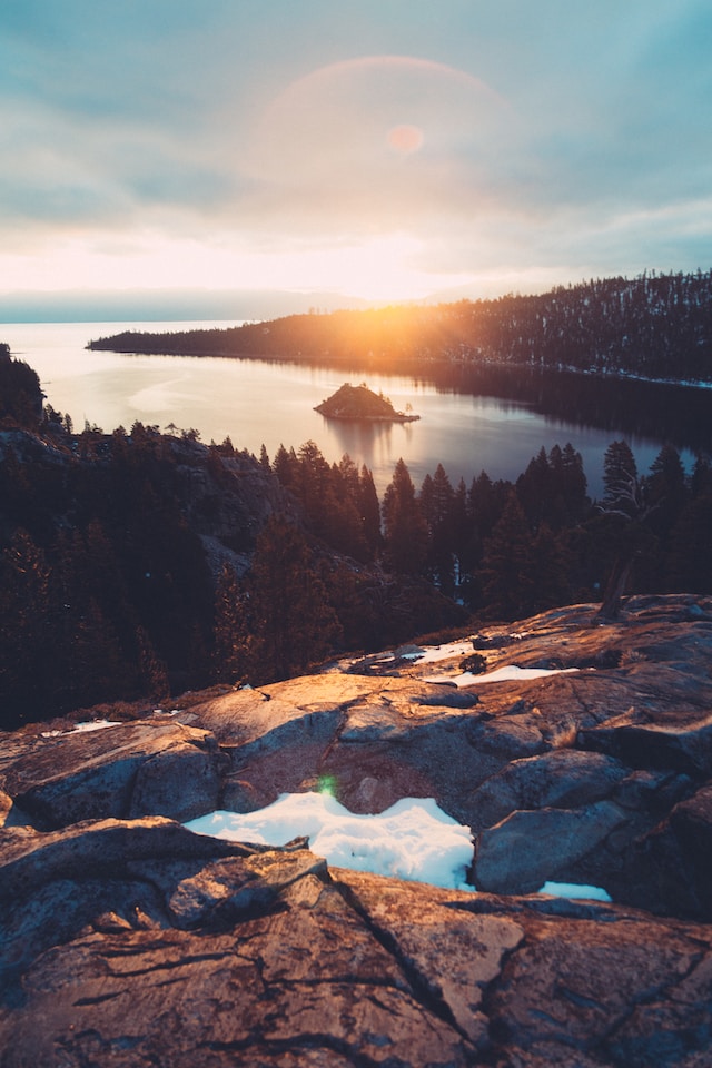 Coastal forest on Vancouver Island