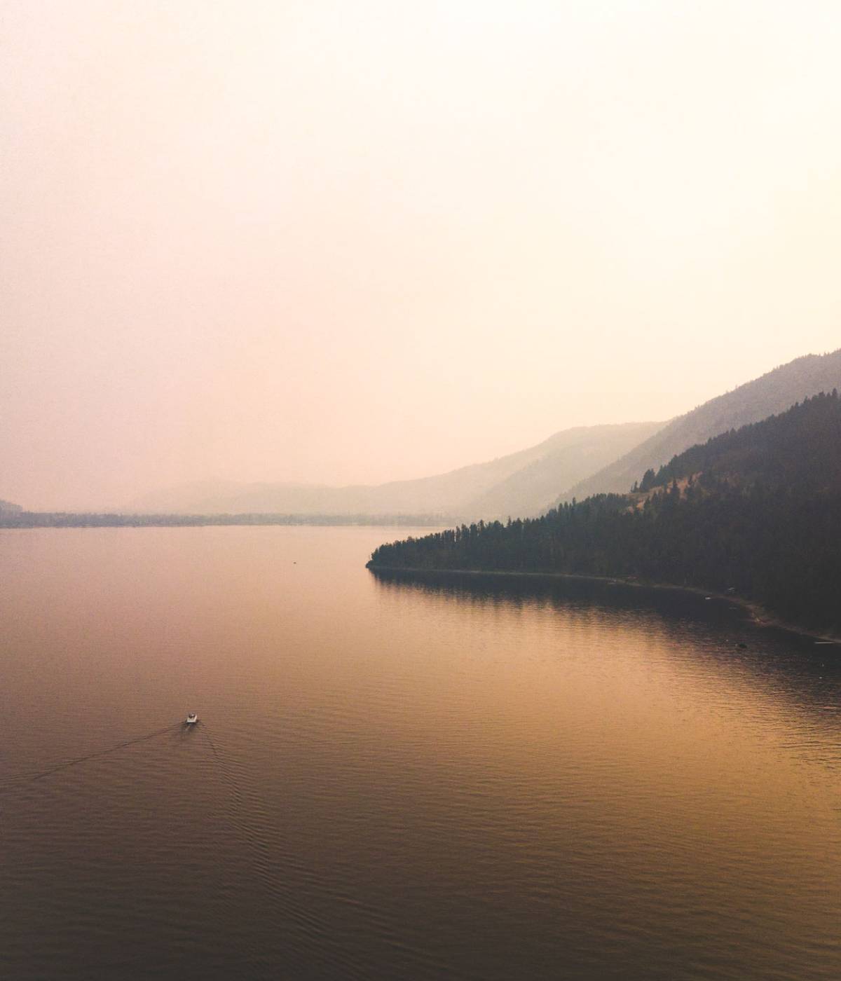 A BC Ferries sailing at sunset